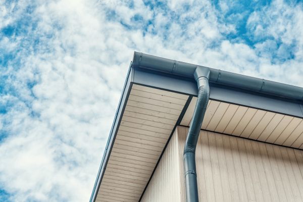 Gutter Fascia Repair in Plant City