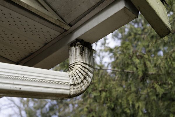 Cost of Roof Drain Replacement in Plant City