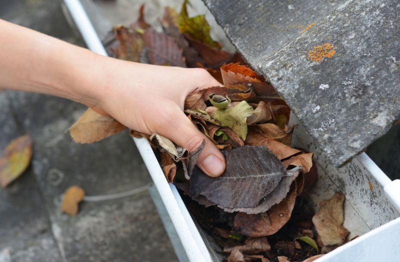 Cleaning Debris from Gutters