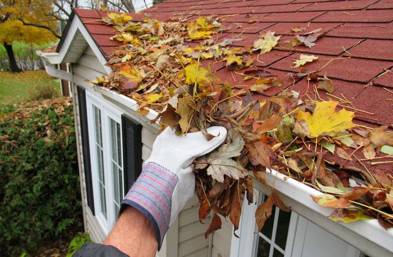 Fall Gutter Cleanup